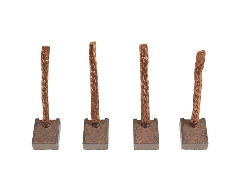 Carbon brush, starter motor