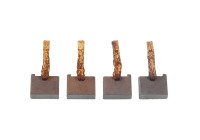 Carbon brush, starter motor