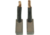 Carbon brush, starter motor
