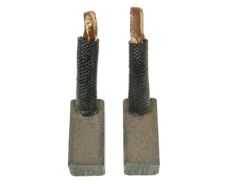 Carbon brush, starter motor