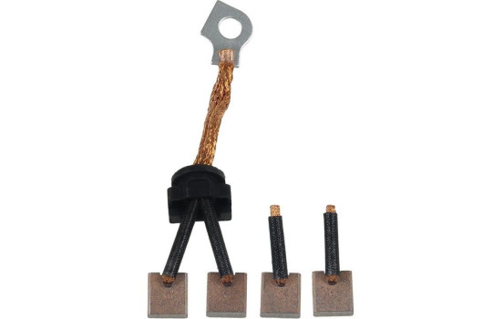 Carbon brush, starter motor