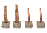 Carbon brush, starter motor