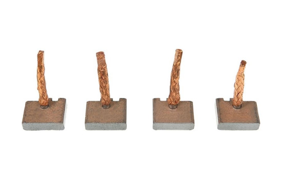Carbon brush, starter motor