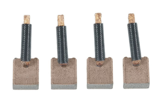 Carbon brush, starter motor