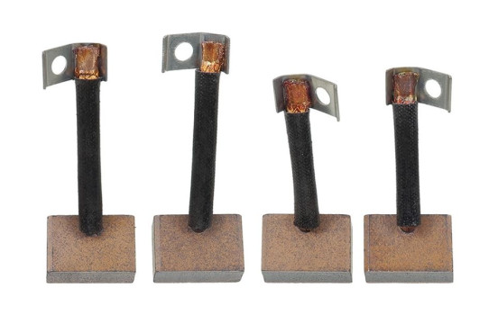 Carbon brush, starter motor