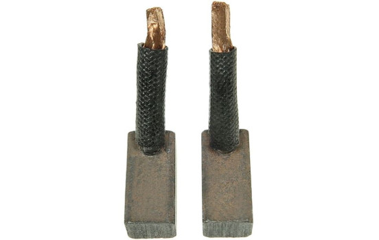 Carbon brush, starter motor