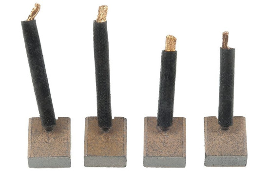 Carbon brush, starter motor