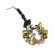 Holder, carbon brush