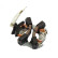 Holder, carbon brush