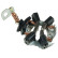 Holder, carbon brush