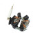 Holder, carbon brush