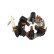 Holder, carbon brush