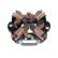 Holder, carbon brush