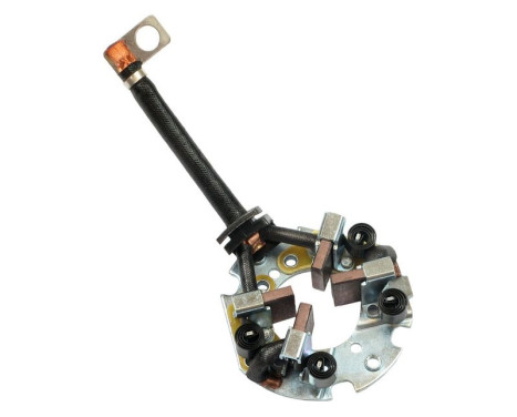 Holder, carbon brush