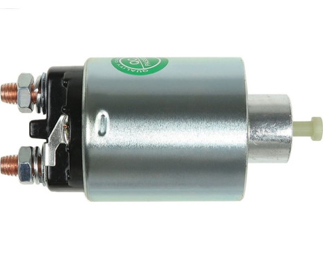 Magnetic switch, starter motor