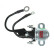 Magnetic switch, starter motor