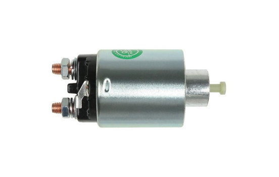 Magnetic switch, starter motor