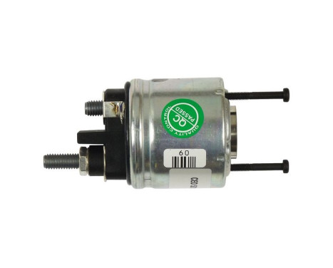 Magnetic switch, starter motor