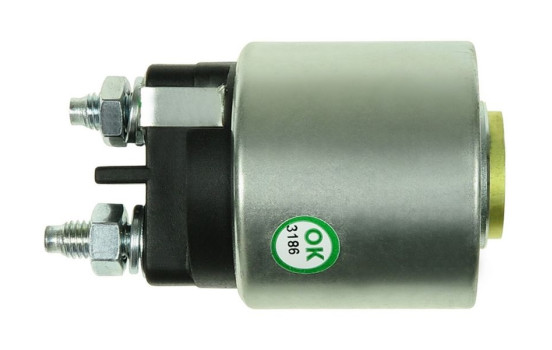 Magnetic switch, starter motor