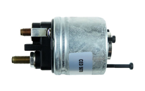 Magnetic switch, starter motor