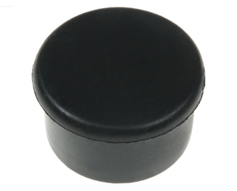 Starter motor cover, carburetor
