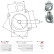 Starter motor cover, carburetor, Thumbnail 3