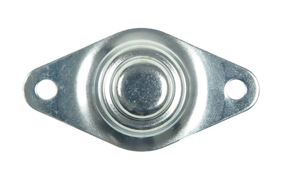 Starter motor cover, carburetor