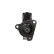 Starter Motor / Starter