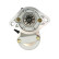 Starter motor / Starter