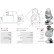 Starter motor / Starter, Thumbnail 5