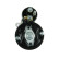 Starter motor / Starter, Thumbnail 3