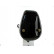 Starter, Thumbnail 3