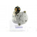Starter, Thumbnail 5