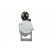 Starter, Thumbnail 3