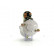 Starter, Thumbnail 6