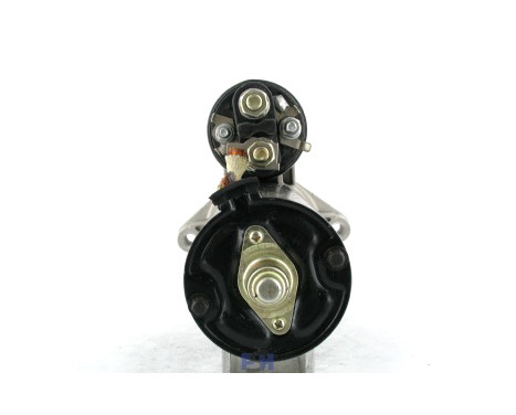 Starter, Image 3