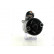 Starter, Thumbnail 4
