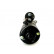 Starter, Thumbnail 5