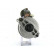 Starter, Thumbnail 4