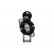 Starter, Thumbnail 6