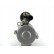 Starter, Thumbnail 5