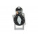 Starter, Thumbnail 5