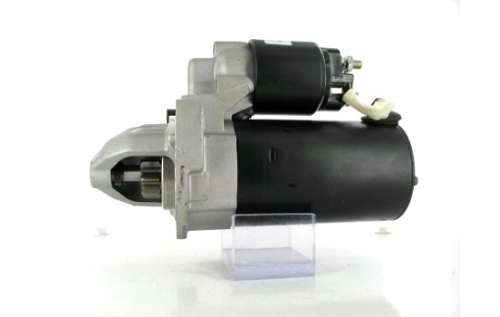 Starter, Image 2
