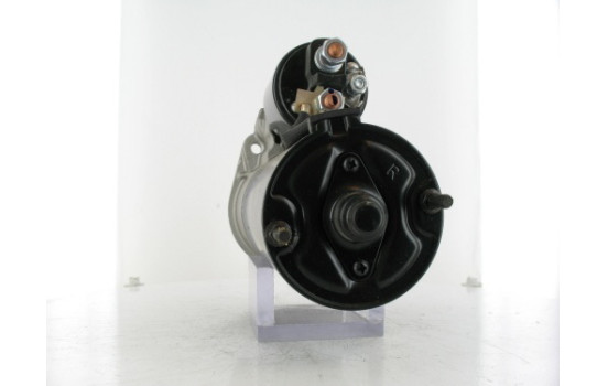 Starter, Image 2