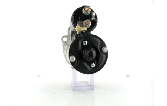 Starter, Image 2