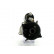 Starter, Thumbnail 2