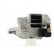 Starter, Thumbnail 2