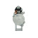 Starter, Thumbnail 4