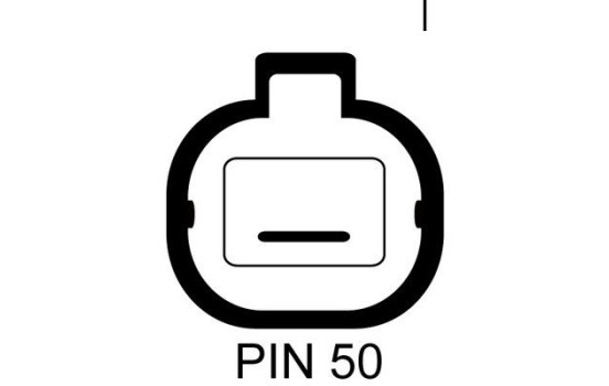 Starter, Image 2