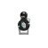 Starter, Thumbnail 11